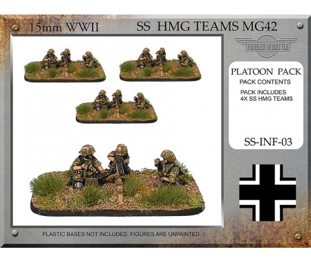 SS-INF-03 SS HMG Teams 