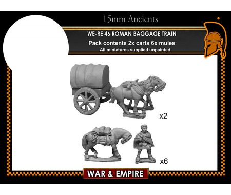 WE-RE46 1st/2nd Century Roman baggage train